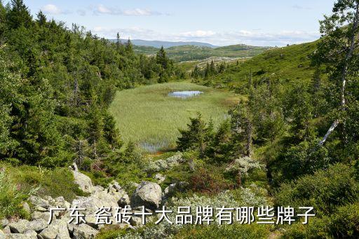 广东的瓷砖,十大瓷砖品牌排名出炉大王瓷砖抛光砖质量很好