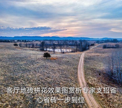  客厅地砖拼花效果图赏析专家支招省心省砖一步到位