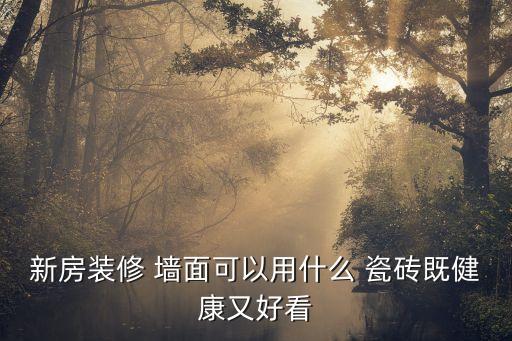 新房装修 墙面可以用什么 瓷砖既健康又好看
