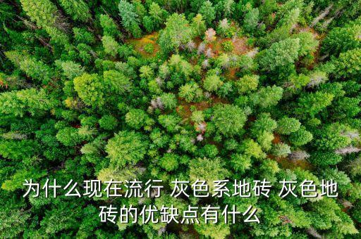 为什么现在流行 灰色系地砖 灰色地砖的优缺点有什么
