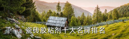 瓷砖石材专用胶品牌厂家,瓷砖和石材的区别
