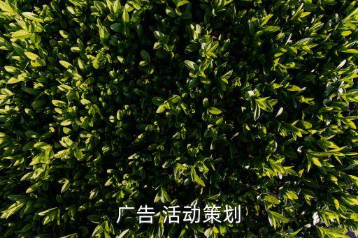 广告 活动策划