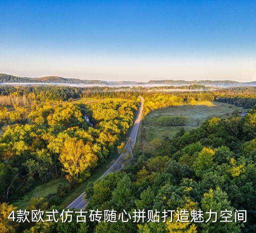 真罗马瓷砖推荐品牌,罗马瓷砖属于几线品牌价格