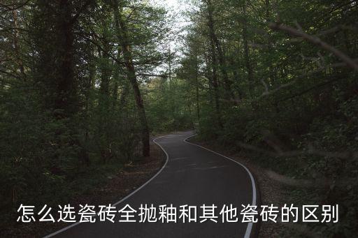 卫生间全抛釉瓷砖地面,肌肤釉瓷砖可以用在卫生间地面吗