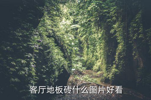  客厅地板砖什么图片好看