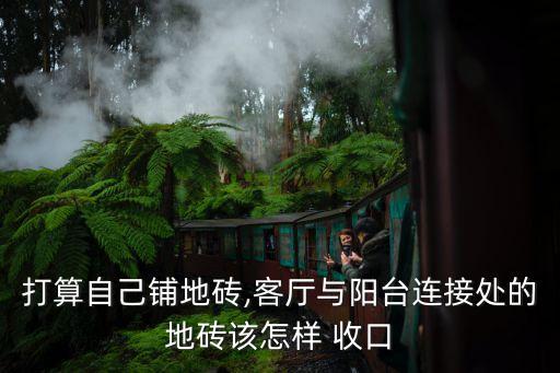 打算自己铺地砖,客厅与阳台连接处的地砖该怎样 收口