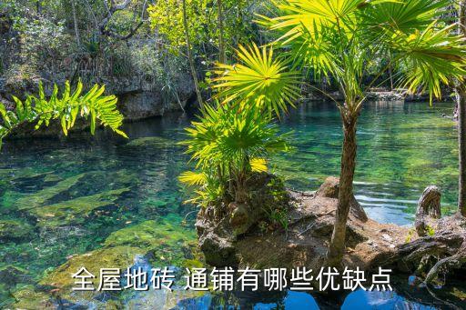 北川别墅瓷砖通铺效果图,750*1500瓷砖通铺效果图