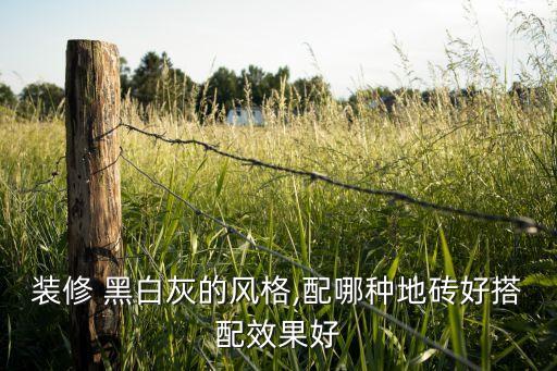 装修 黑白灰的风格,配哪种地砖好搭配效果好