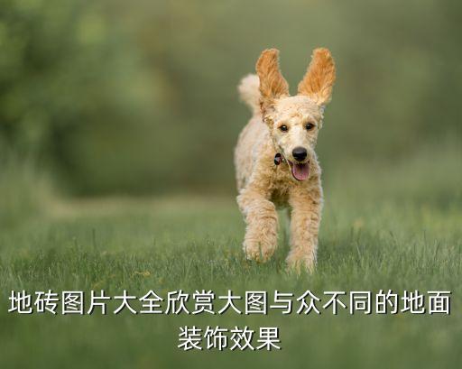 地砖图片大全欣赏大图与众不同的地面装饰效果