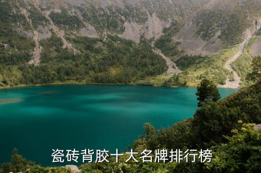  瓷砖背胶十大名牌排行榜