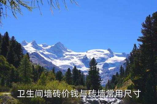 卫生间瓷砖多少钱平