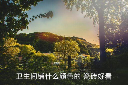 蓝宝石瓷砖装修效果图,深灰色瓷砖客厅装修效果图