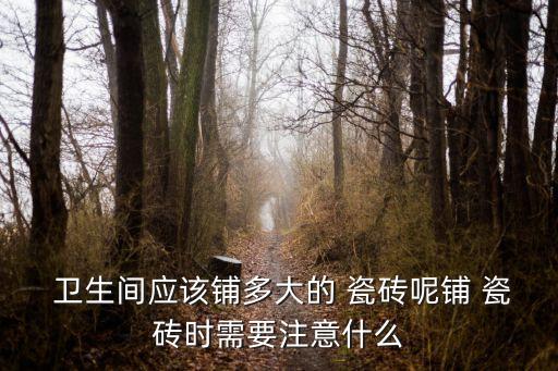  卫生间应该铺多大的 瓷砖呢铺 瓷砖时需要注意什么