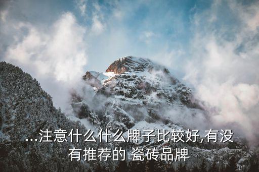 ...注意什么什么牌子比较好,有没有推荐的 瓷砖品牌