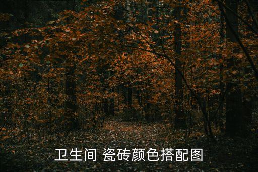 卫生间 瓷砖颜色搭配图