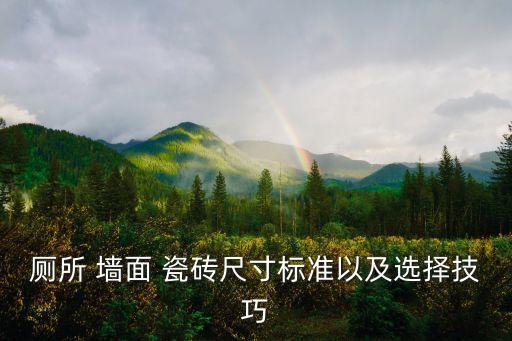 厕所 墙面 瓷砖尺寸标准以及选择技巧
