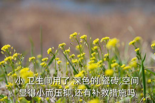 小 卫生间用了 深色的 瓷砖,空间显得小而压抑,还有补救措施吗