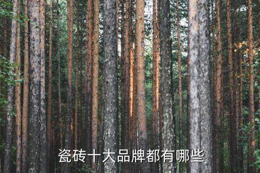 著名品牌瓷砖,中国瓷砖十大著名品牌及产地