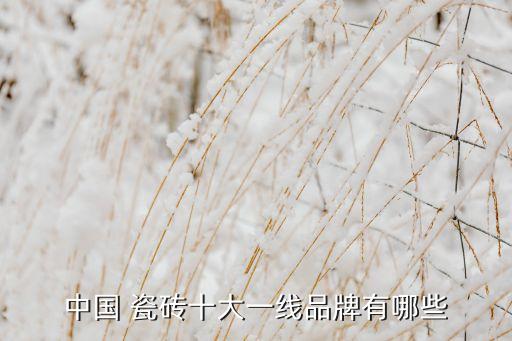 中国 瓷砖十大一线品牌有哪些
