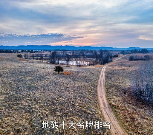 地砖十大名牌排名