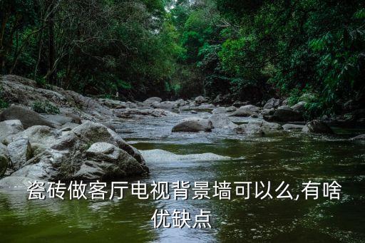  瓷砖做客厅电视背景墙可以么,有啥优缺点