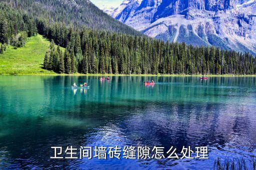  卫生间墙砖缝隙怎么处理