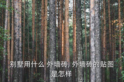 别墅用什么 外墙砖, 外墙砖的贴图是怎样