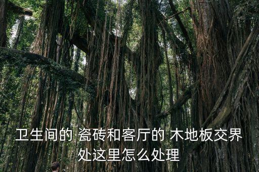 卫生间的 瓷砖和客厅的 木地板交界处这里怎么处理
