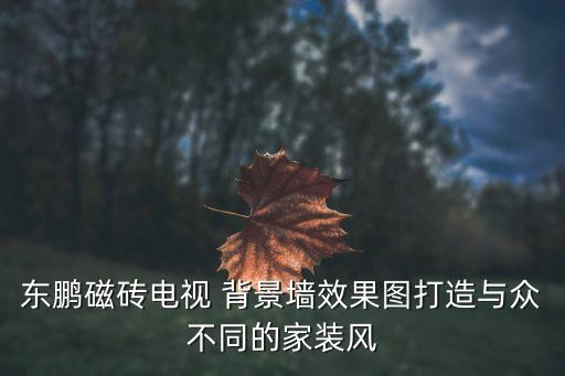 东鹏磁砖电视 背景墙效果图打造与众不同的家装风