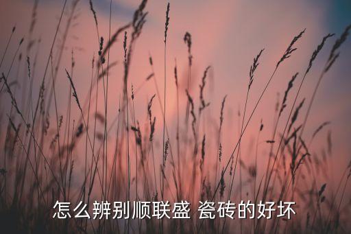 怎么辨别顺联盛 瓷砖的好坏