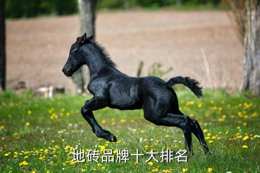 地砖品牌十大排名