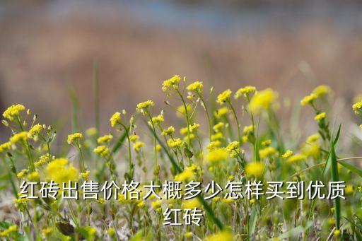 红砖出售价格大概多少怎样买到优质 红砖