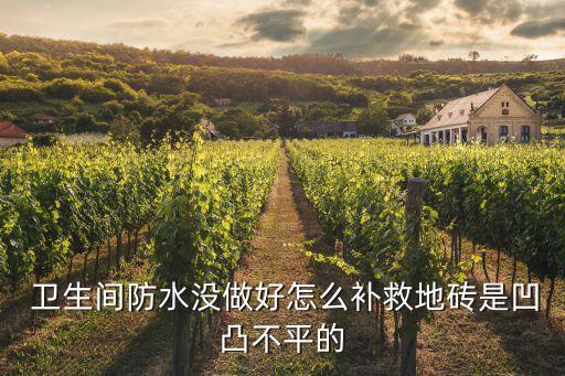  卫生间防水没做好怎么补救地砖是凹凸不平的