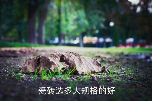  瓷砖选多大规格的好