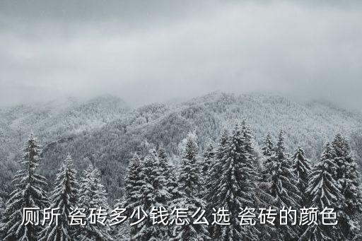 卫生间竖贴瓷砖双色多少钱,双色卫生间瓷砖效果图