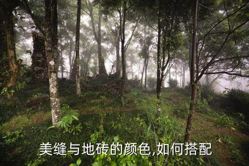  美缝与地砖的颜色,如何搭配