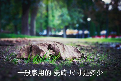 餐厅卫生间瓷砖尺寸图片,卫生间地面用多大尺寸的瓷砖最合适