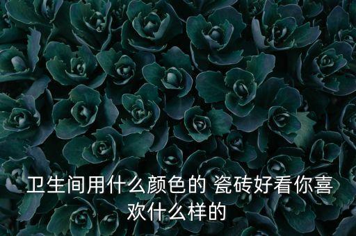  卫生间用什么颜色的 瓷砖好看你喜欢什么样的