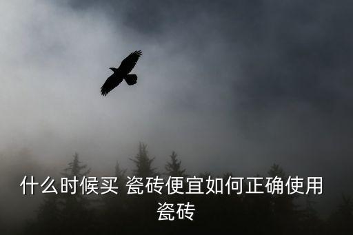 什么时候买 瓷砖便宜如何正确使用 瓷砖
