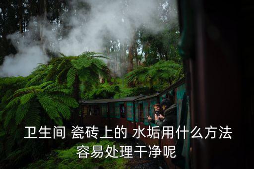 卫生间白色瓷砖水垢,去除卫生间瓷砖水垢