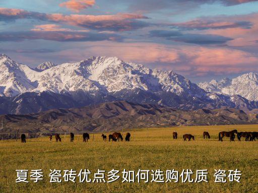 夏季 瓷砖优点多如何选购优质 瓷砖