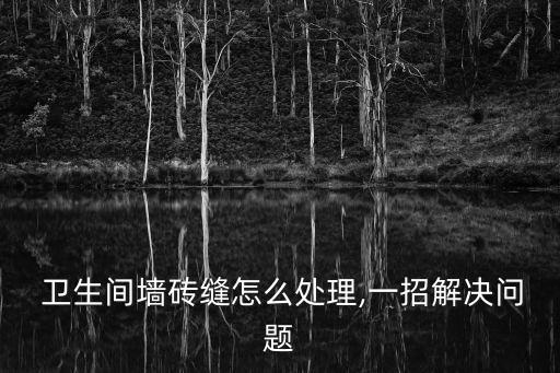 卫生间一边墙面瓷砖缝隙大