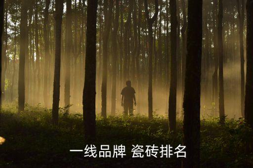  一线品牌 瓷砖排名
