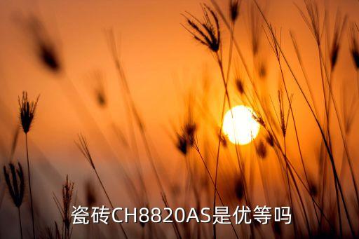  瓷砖CH8820AS是优等吗