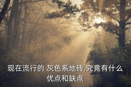 灰色暖色瓷砖客厅效果图,西安暖色灰色瓷砖客厅装修效果图