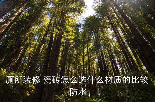 厕所装修 瓷砖怎么选什么材质的比较 防水