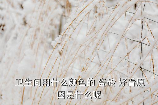 卫生间的瓷砖选怎样的好看
