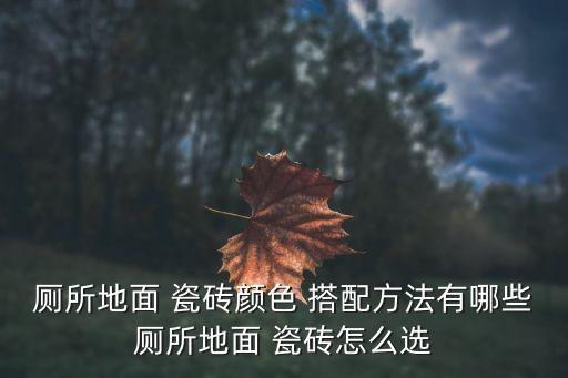 卫生间深色瓷砖卫浴搭配,深色瓷砖搭配什么颜色的卫浴