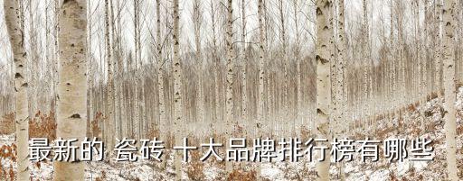最新的 瓷砖 十大品牌排行榜有哪些