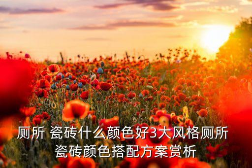 厕所 瓷砖什么颜色好3大风格厕所 瓷砖颜色搭配方案赏析